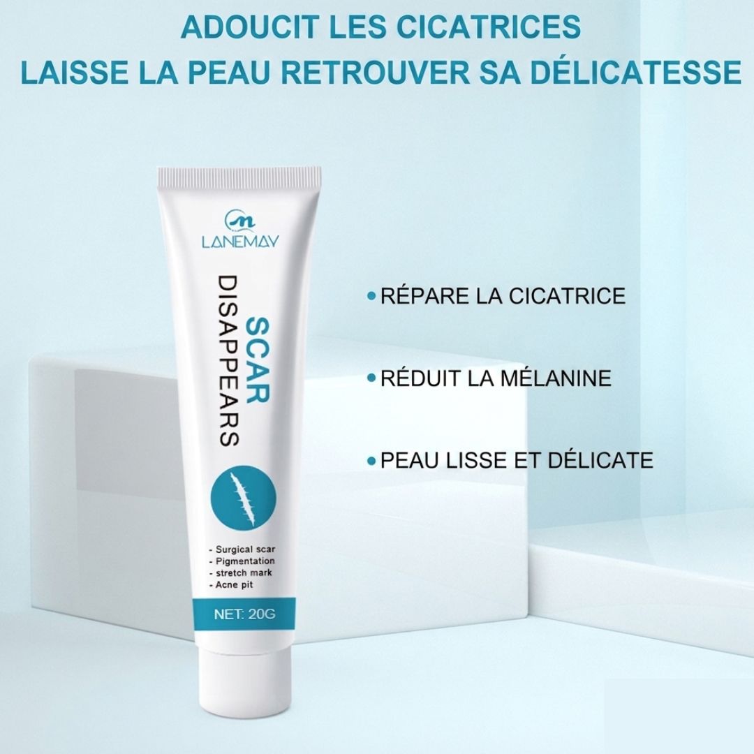Gel Réparateur de la Peau pour Eliminer les Marques d'acné, les Boutons, les Vergetures et les Cicatrices